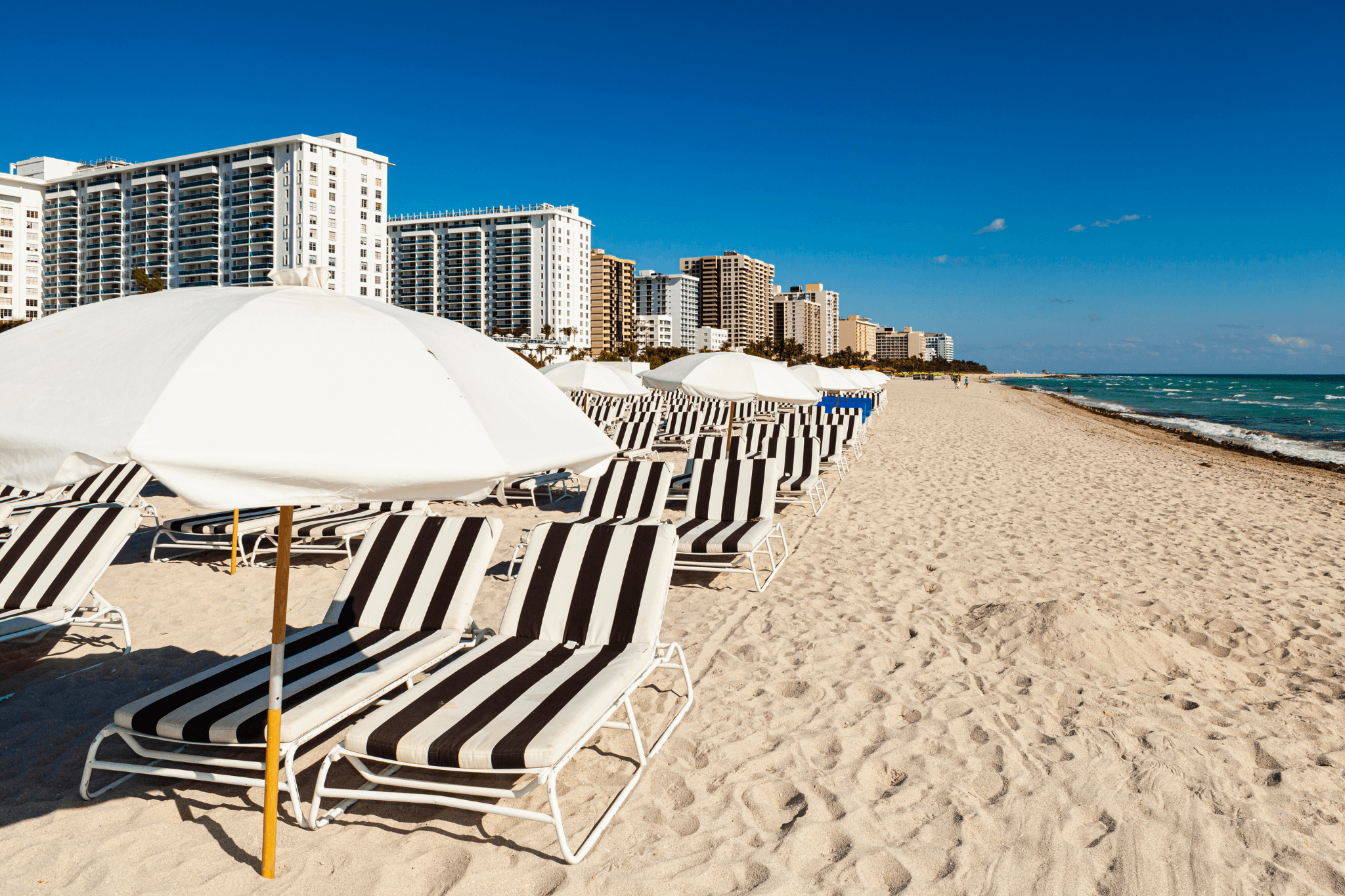 Unique Things to Do in Miami When You Visit