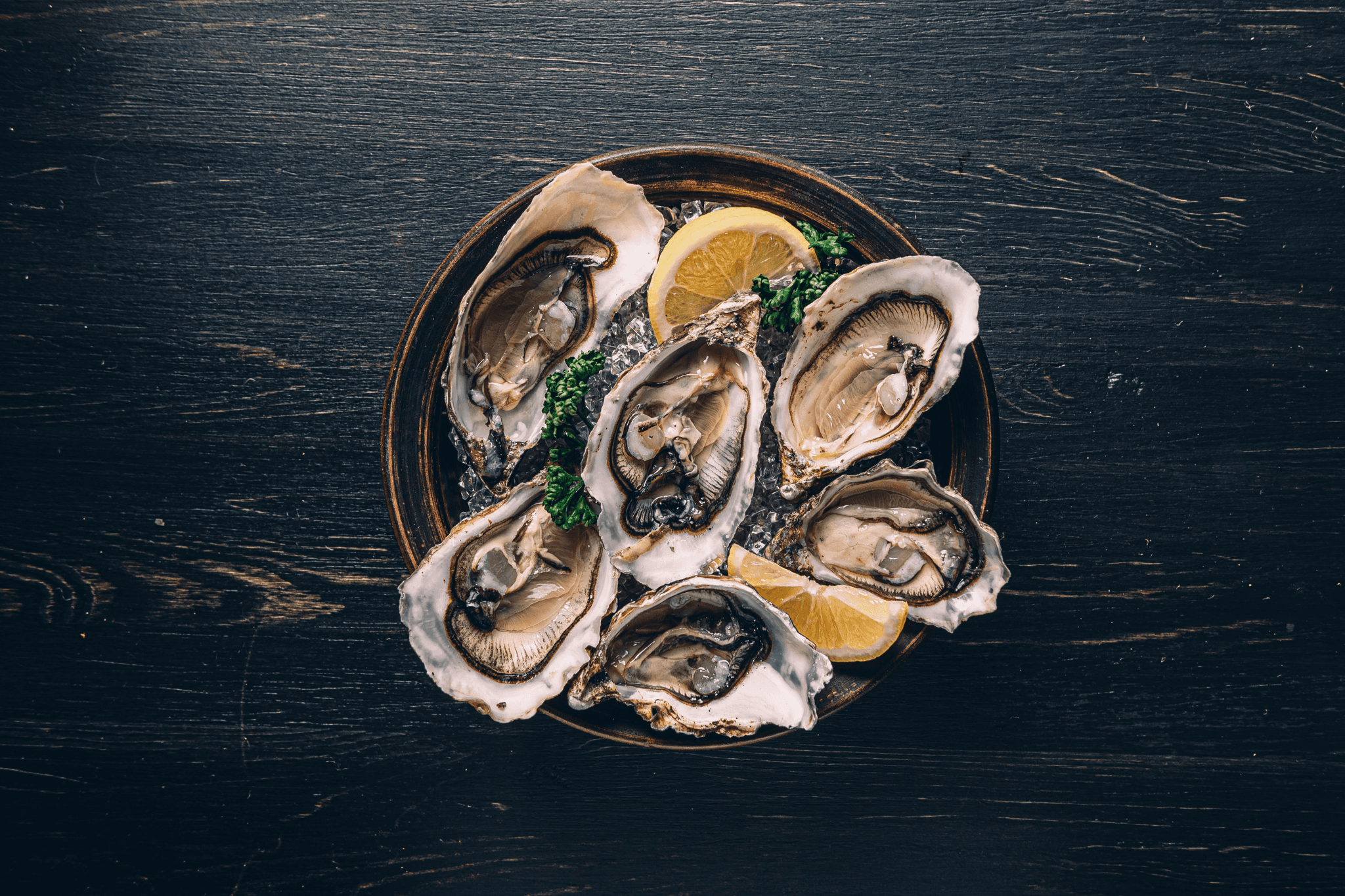 Shucker’s Paradise