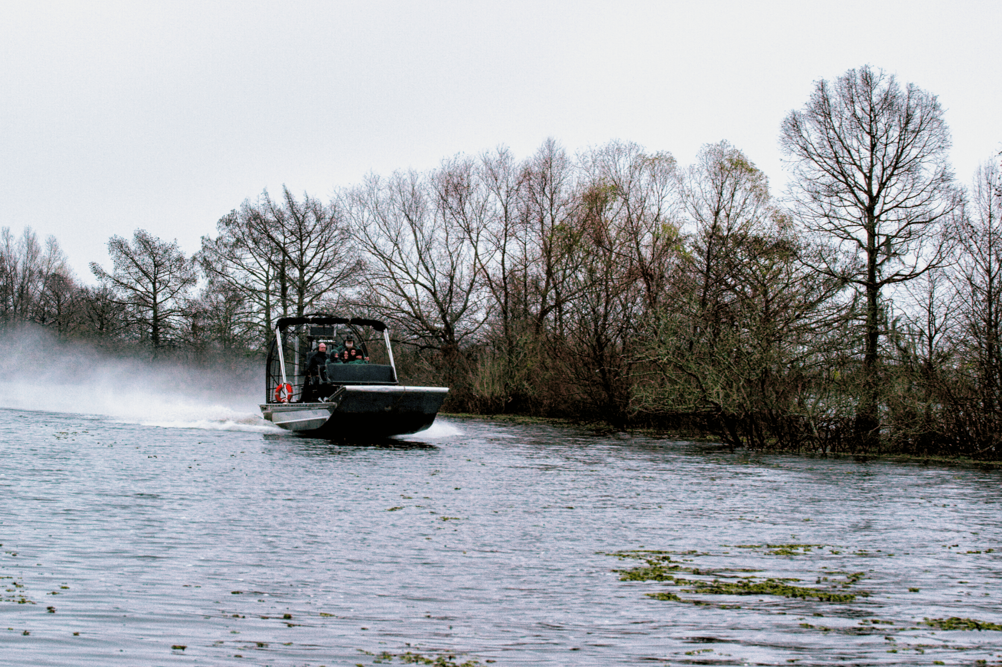 Best Swamp Tours of New Orleans on the Bayou